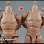 COOMODEL BD001, BD002 Narrow shoulders male Body 2.0