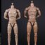 COOMODEL MB001-4 1/6 NEW TYPE MALE BODY
