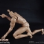 COOMODEL BD007 / BD008 Standard & High Standard Muscle Arm Body