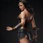 30/09/2568 INART AG-A023 Batman v Superman: Dawn of Justice - Wonder Woman