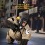Mr.Z MRZ031-GBG001, 002 Animal Model - Gorilla Beringei Graueri (Black&White)