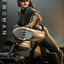Hot Toys MMS627 1/6 The Dark Knight Trilogy - Catwoman