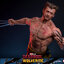 Hot Toys MMS756 Deadpool & Wolverine - Wolverine (Jacket Version)