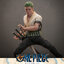 Hot Toys TMS110 1/6 One Piece - Roronoa Zoro