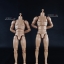 COOMODEL BD007 / BD008 Standard & High Standard Muscle Arm Body