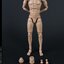 COOMODEL MB001-4 1/6 NEW TYPE MALE BODY