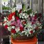 กระเช้าดอกไม้วันเกิดแฟน (Flower Basket)