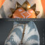 Hot Toys TMS123 1/6 Star Wars: Ahsoka™ - Ahsoka Tano™ (Padawan)