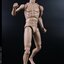 COOMODEL MB001-4 1/6 NEW TYPE MALE BODY