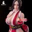 Ninja Cat N001 Female Fighter Mai