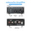 Fosi Audio M04 Subwoofer Amplifier ClassD ชิป TPA3116 ประกันศูนย์ไทย