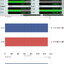 Topping DX9 DAC/AMP รุ่นพิเศษครบรอบ 15ปี รองรับ LDAC, Dual Hi-Res ประกันศูนย์ไทย