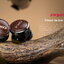 FiiO FP3 หูฟัง IEMs ไดรเวอร์ Planar 14.5 มม. รุ่นที่สองที่พัฒนาขึ้นเอง ประกันศูนย์ไทย