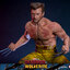 Hot Toys MMS756 Deadpool & Wolverine - Wolverine (Jacket Version)