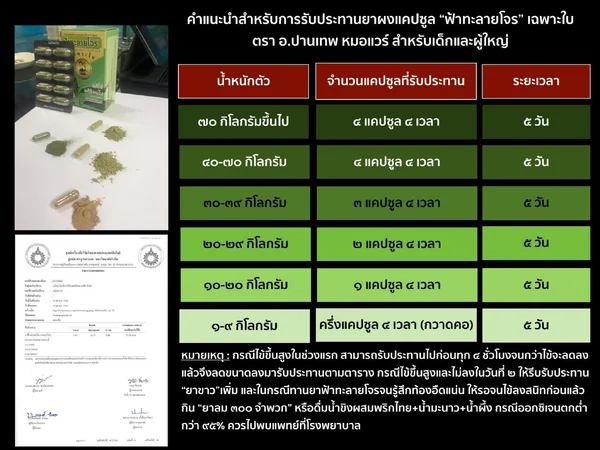 ยาฟ้าทะลายโจรสกัดหยาบเฉพาะใบ ชนิดแคปซูล อจ.ปานเทพ 50 แคปซูล image 7 ยาฟ้าทะลายโจรสกัดหยาบเฉพาะใบ ชนิดแคปซูล อจ.ปานเทพ 50 แคปซูล image 7
