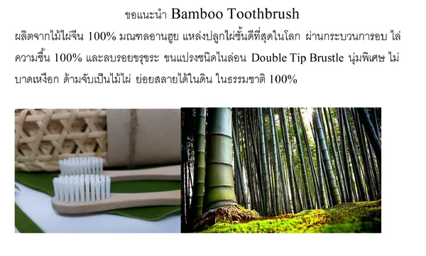 แปรงสีฟันไม้ไผ่ นำเข้าจากจีน image 2 แปรงสีฟันไม้ไผ่ นำเข้าจากจีน image 2